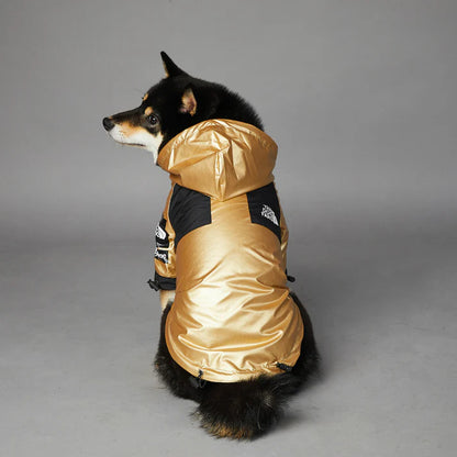 Dog Raincoat - Gold Rush