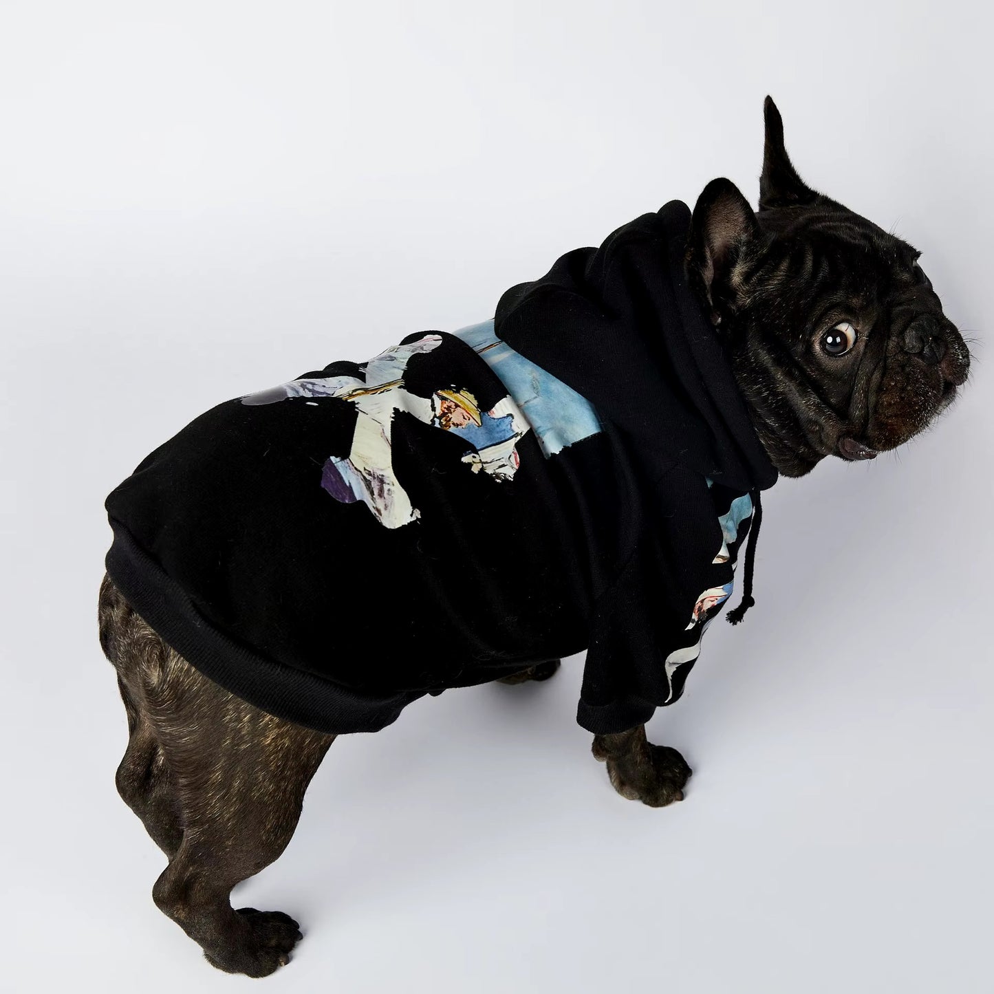 Dog Hoodie - Nautical Paws