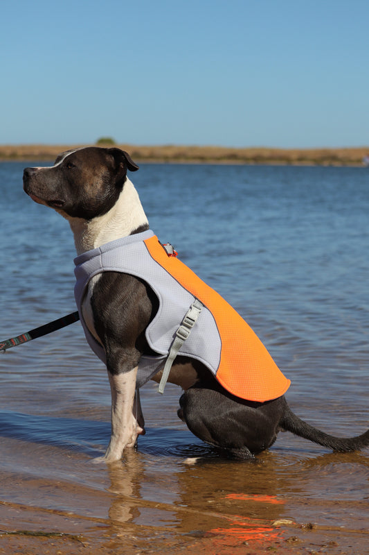 Cooling Vest